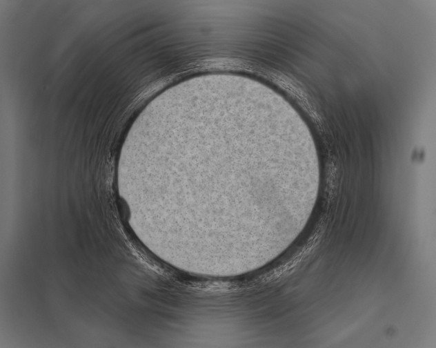 X0000097610841200803281012