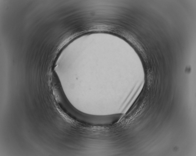 X0000097610842200803281012