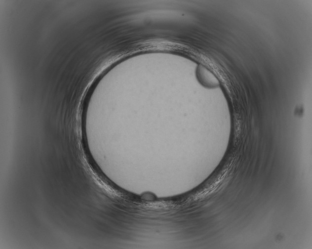 X0000097610843200803281012