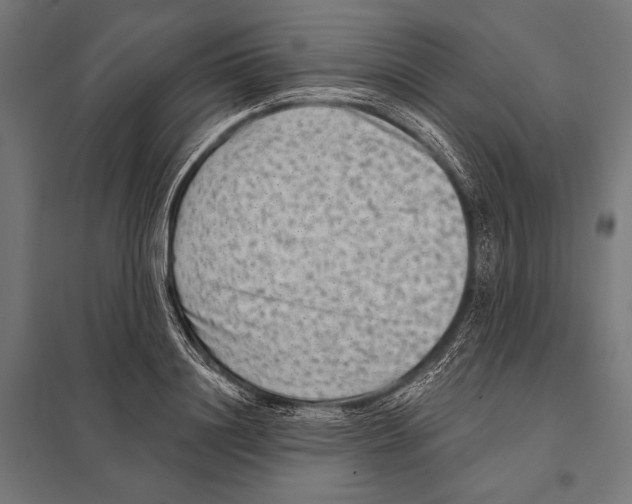 X0000097610844200803281012