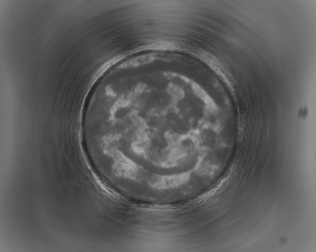 X0000097610845200803281012