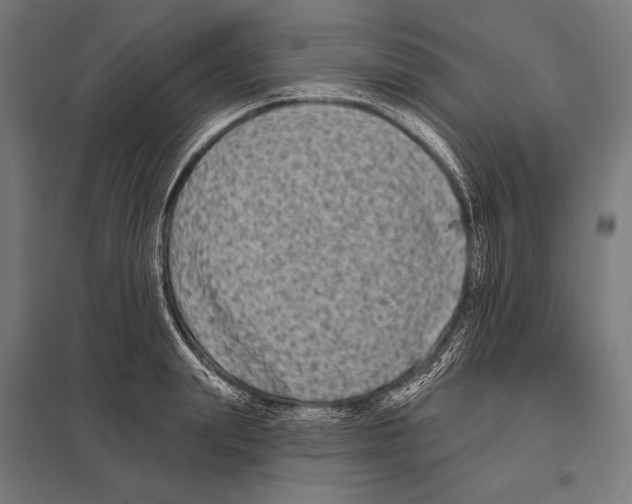 X0000097610847200803281012