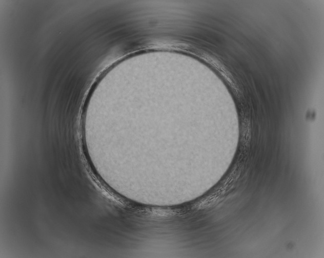 X0000097610848200803281012