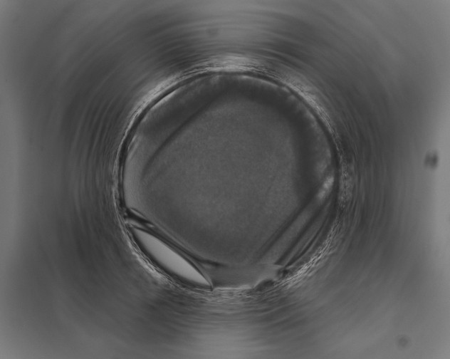 X0000097610850200803281012