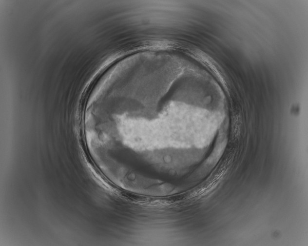 X0000097610851200803281012