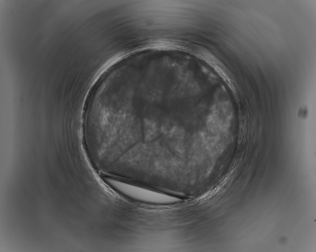 X0000097610853200803281012