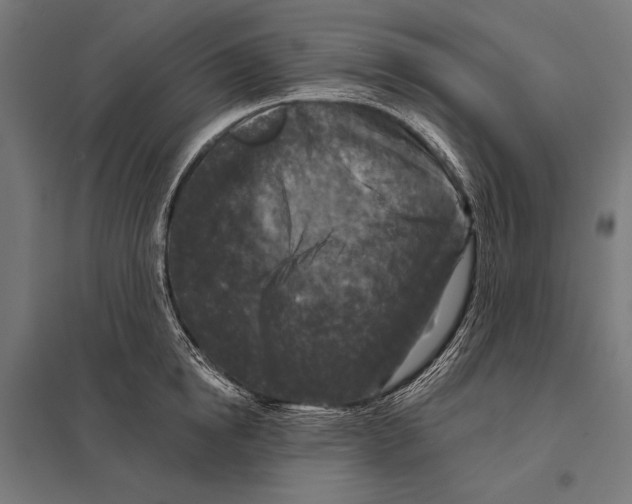 X0000097610854200803281012