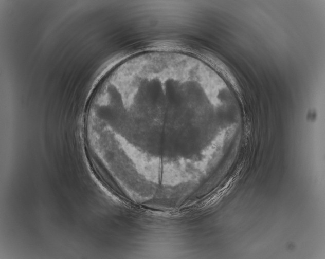 X0000097610855200803281012