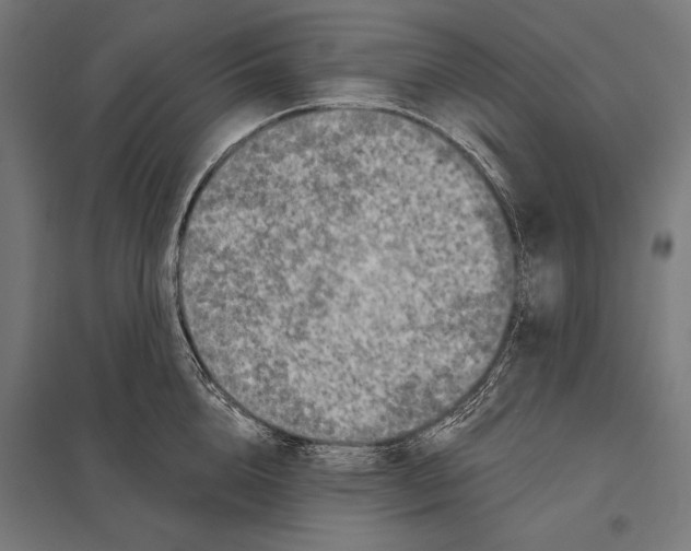 X0000097610856200803281012