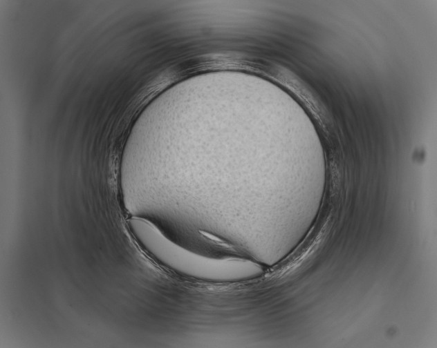 X0000097610857200803281012