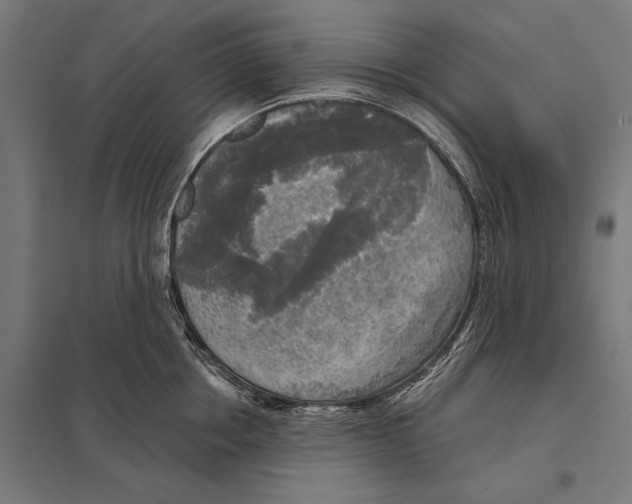 X0000097610858200803281012