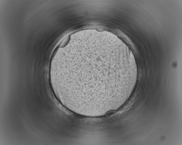 X0000097610860200803281012