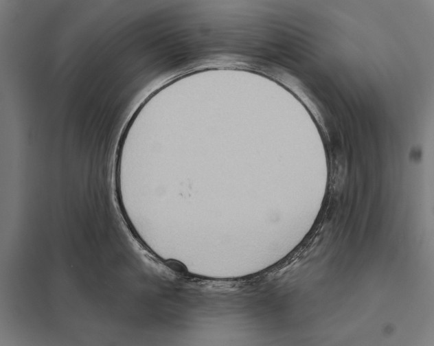 X0000097610861200803281012