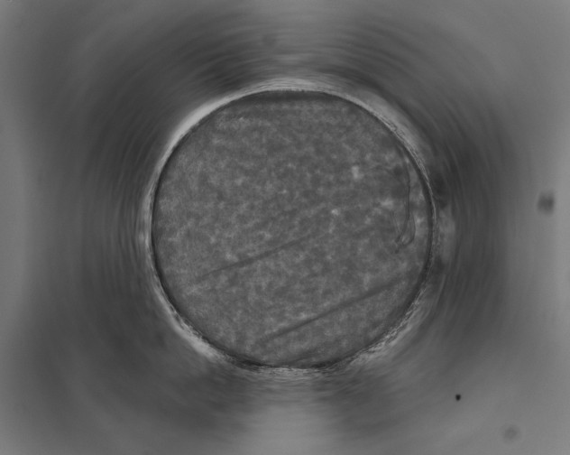 X0000097610862200803281012