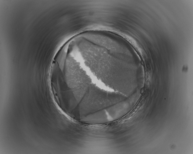 X0000097610863200803281012