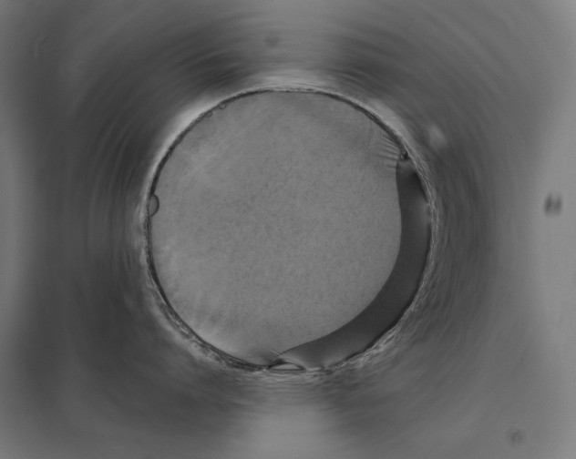 X0000097610864200803281012