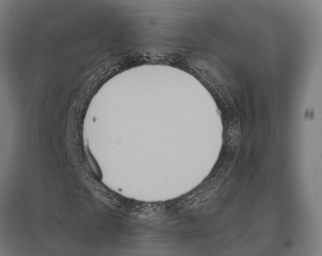 X0000097610865200803281012