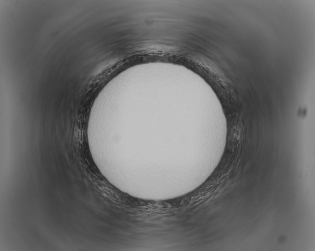 X0000097610869200803281011