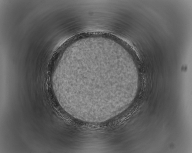 X0000097610871200803281011