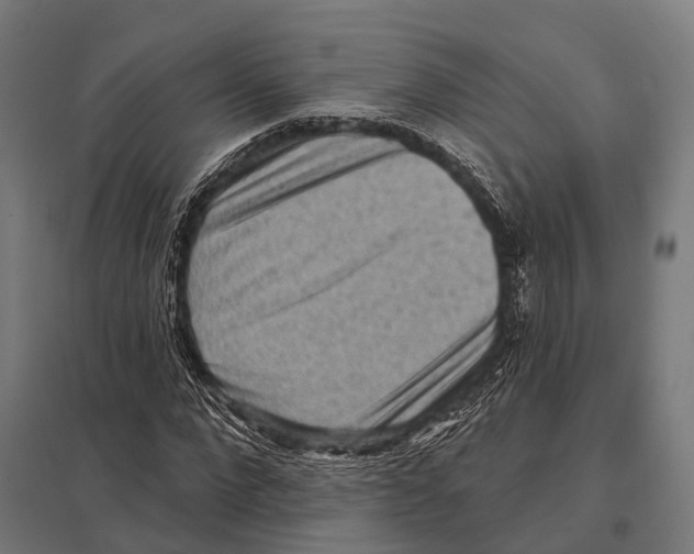 X0000097610872200803281011