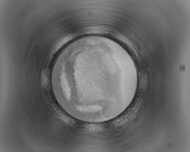 X0000097610874200803281011