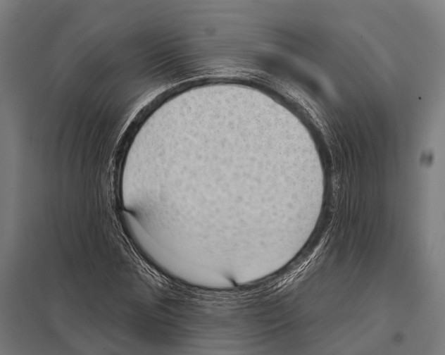 X0000097610875200803281011