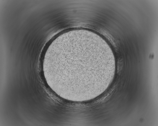 X0000097610876200803281011