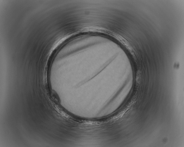 X0000097610877200803281011