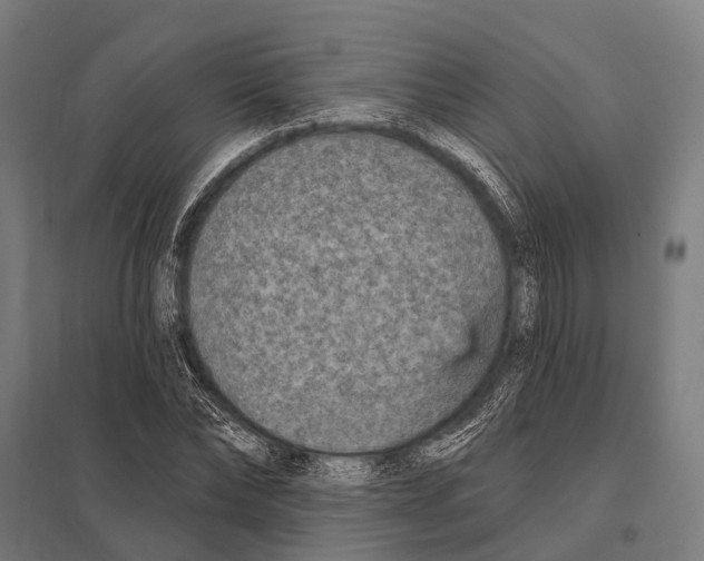 X0000097610878200803281011