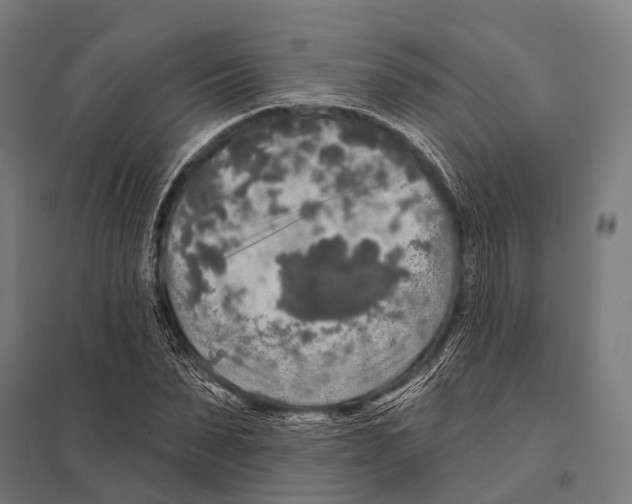 X0000097610879200803281011