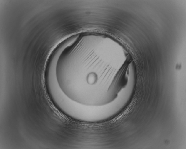 X0000097610880200803281011