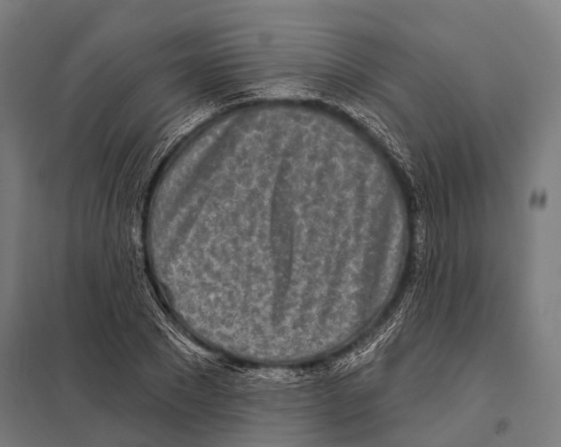 X0000097610881200803281011