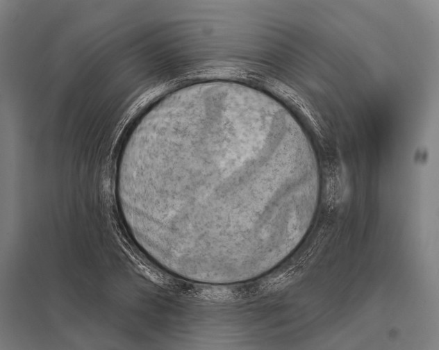 X0000097610882200803281011