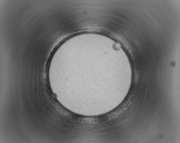 X0000097610883200803281011