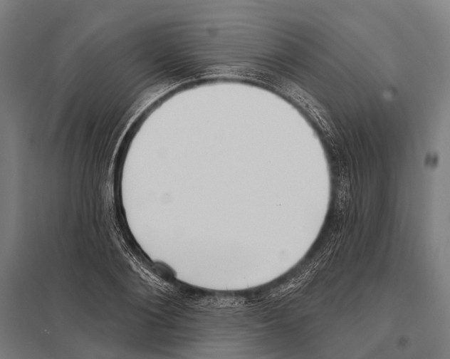 X0000097610884200803281011