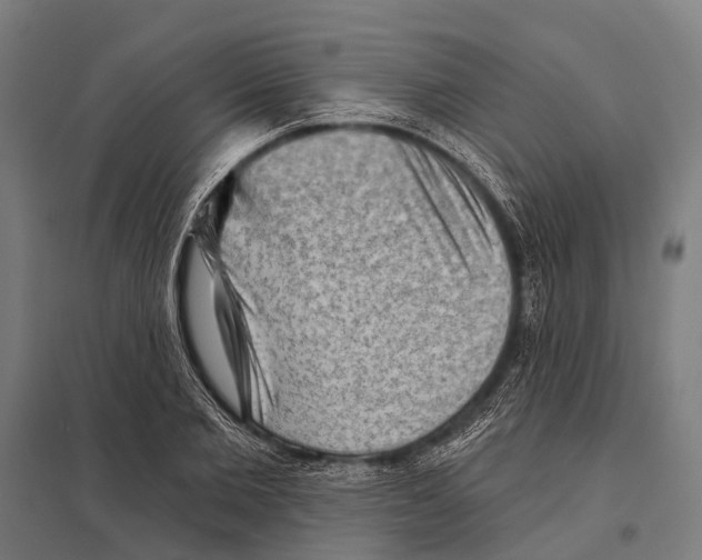 X0000097610885200803281011