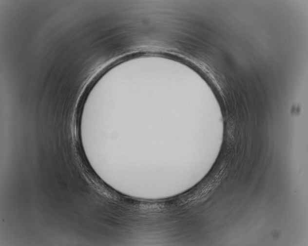 X0000097610887200803281011