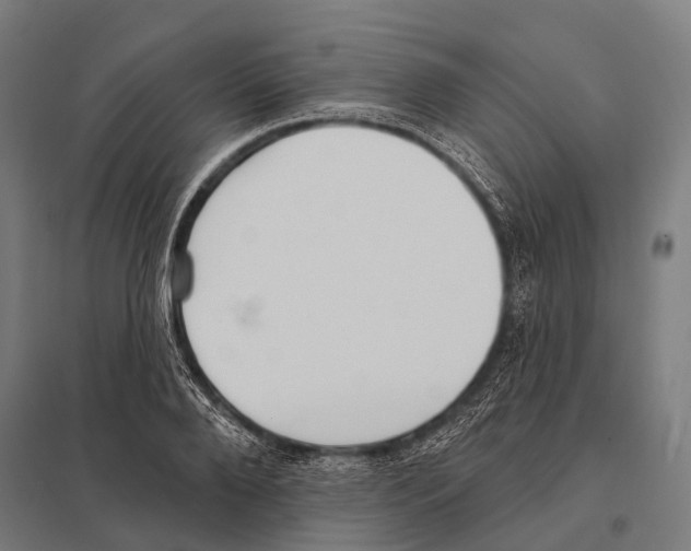 X0000097610888200803281011