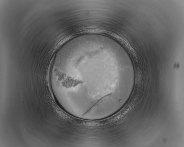 X0000097610889200803281011