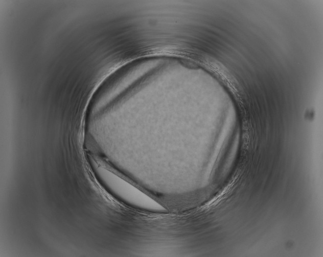 X0000097610892200803281011