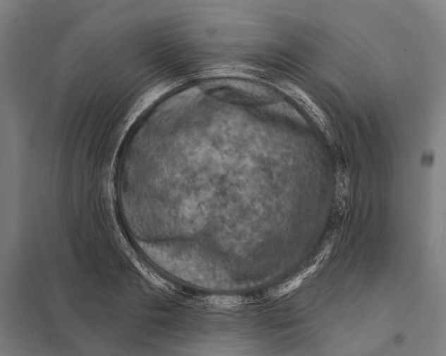 X0000097610893200803281011