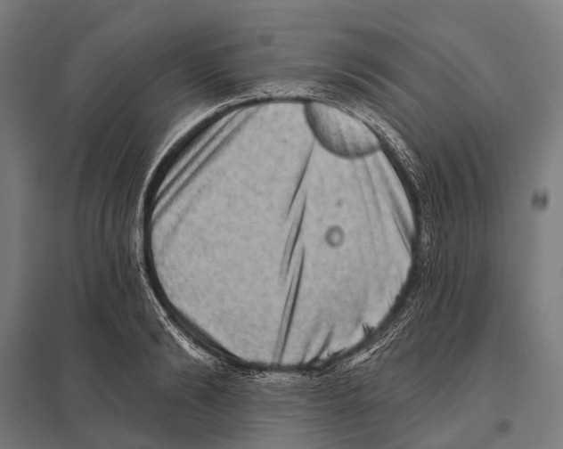 X0000097610894200803281011