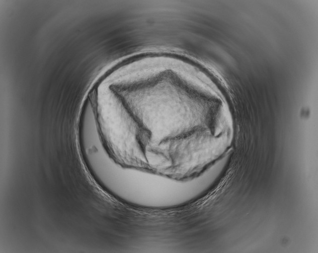 X0000097610895200803281011