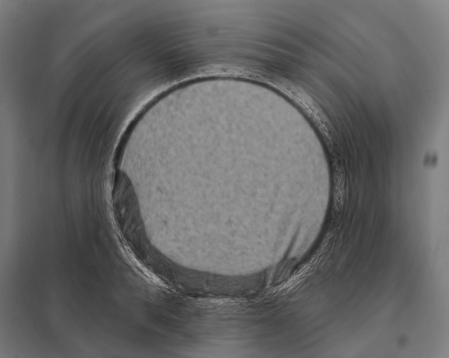 X0000097610896200803281011