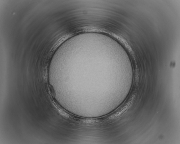 X0000097610897200803281011