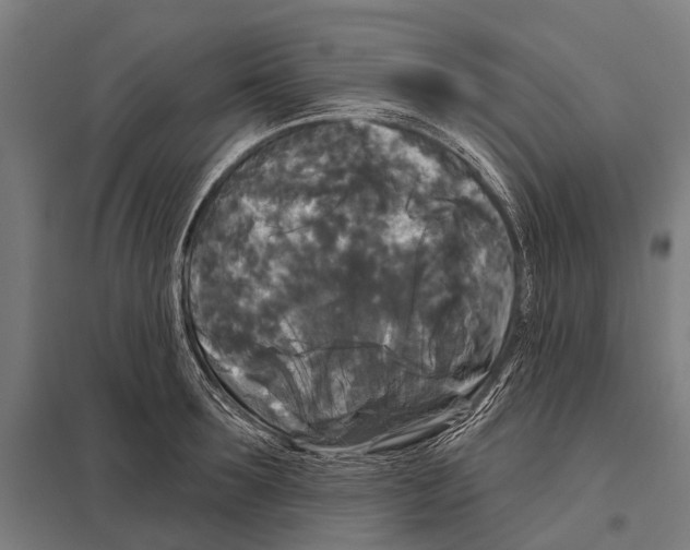 X0000097610899200803281011