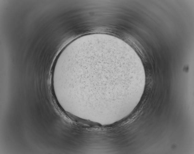 X0000097610900200803281011