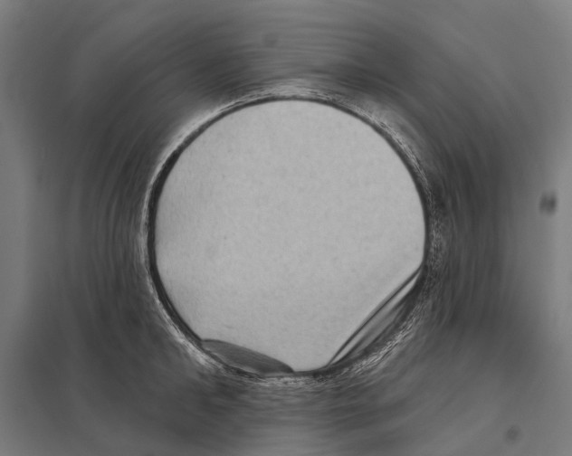 X0000097610902200803281011