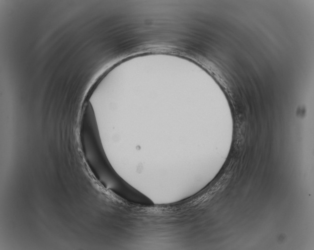 X0000097610904200803281011