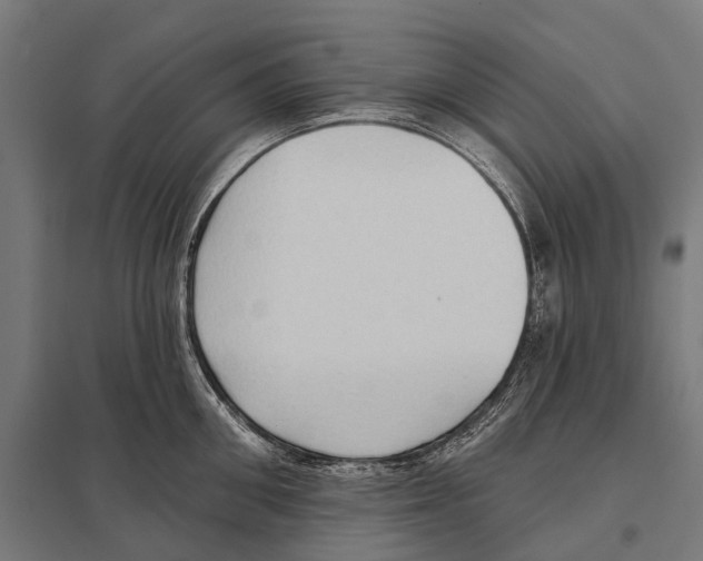 X0000097610906200803281011